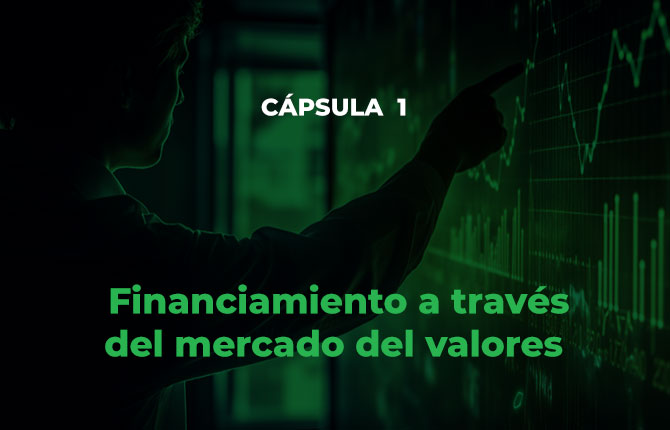 Fondo de video
