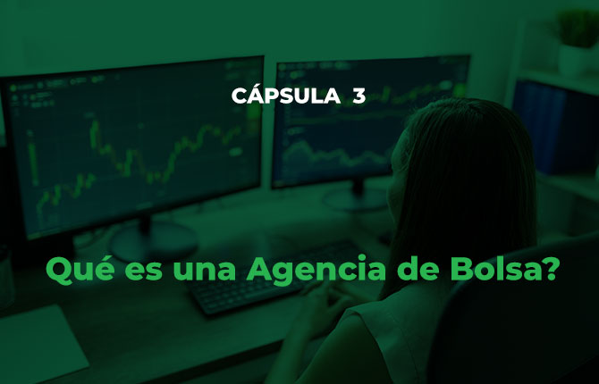 Fondo de video