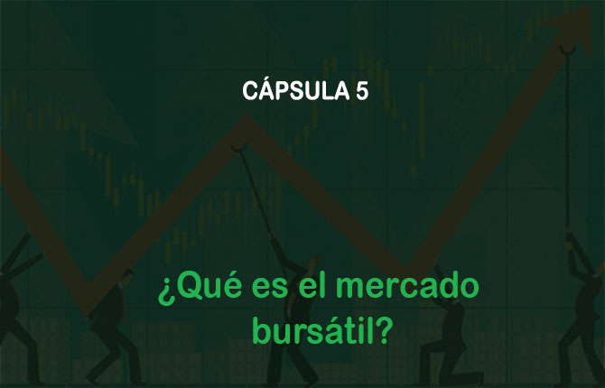 Fondo de video