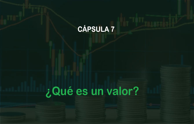 Fondo de video