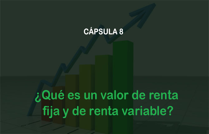 Fondo de video